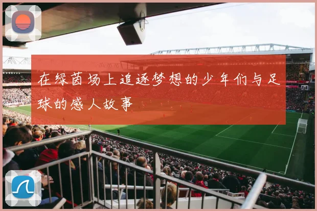 在绿茵场上追逐梦想的少年们与足球的感人故事