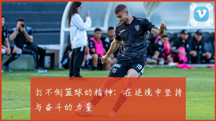 打不倒篮球的精神：在逆境中坚持与奋斗的力量