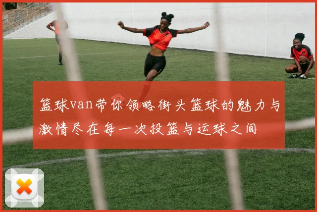 篮球van带你领略街头篮球的魅力与激情尽在每一次投篮与运球之间