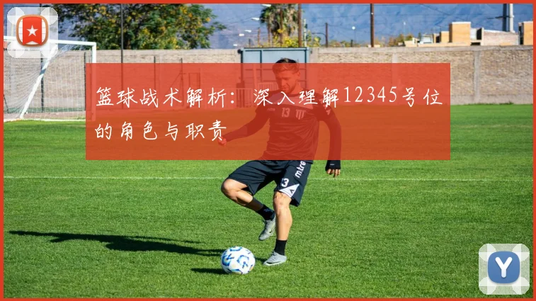篮球战术解析：深入理解12345号位的角色与职责