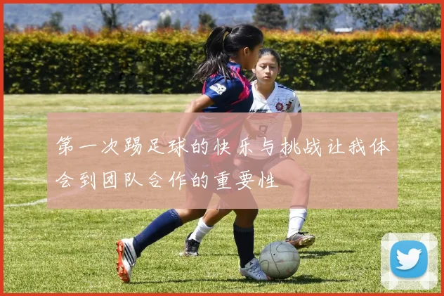 第一次踢足球的快乐与挑战让我体会到团队合作的重要性
