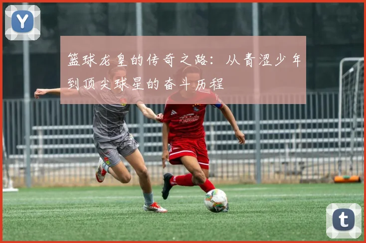 篮球龙皇的传奇之路：从青涩少年到顶尖球星的奋斗历程