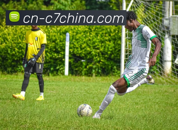 App Interface Preview